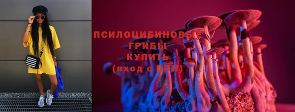 винт Арсеньев