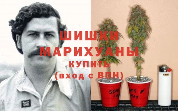 метадон Аркадак